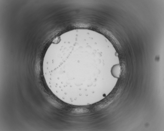 X0000116260541201001110955