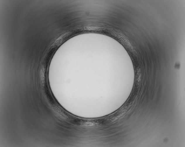 X0000116260542201001110955
