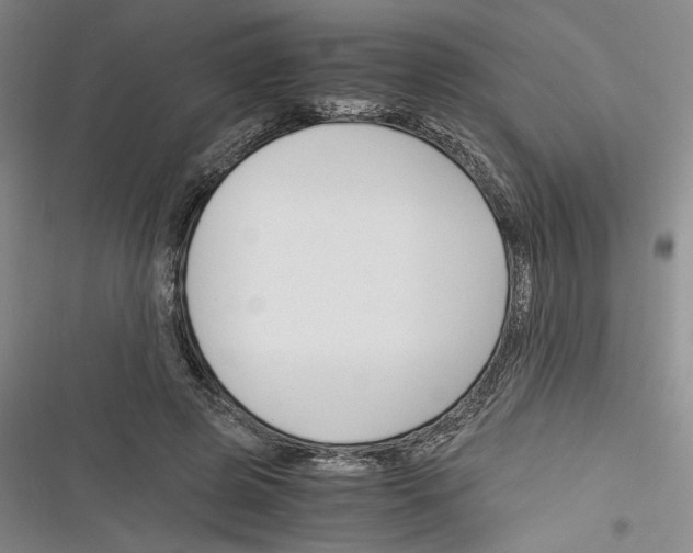 X0000116260545201001110955