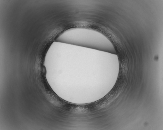 X0000116260546201001110955