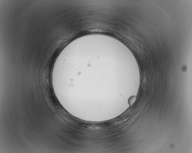 X0000116260547201001110955