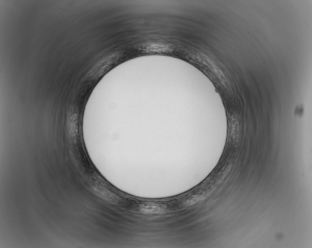X0000116260549201001110955