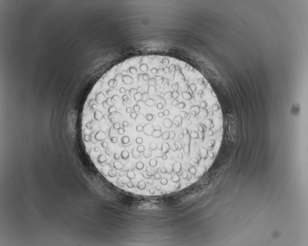 X0000116260550201001110956