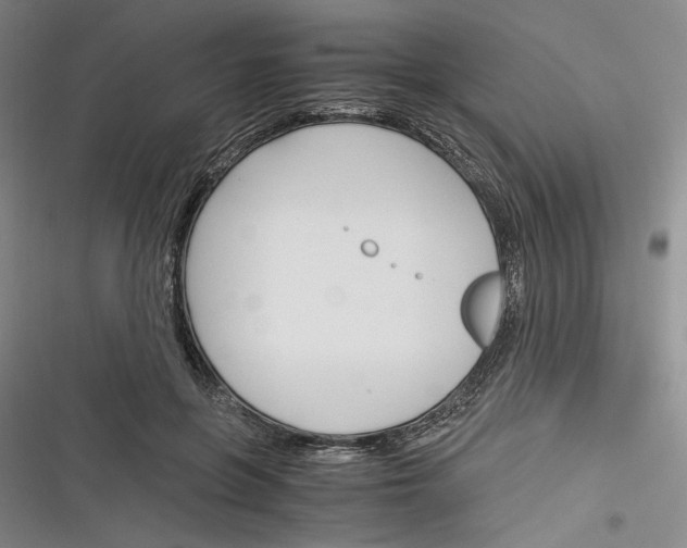 X0000116260551201001110956