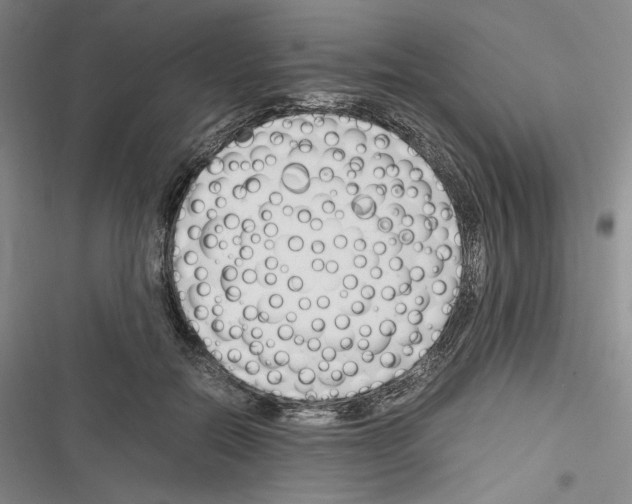 X0000116260554201001110956