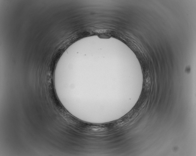 X0000116260555201001110956