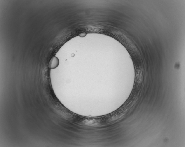 X0000116260557201001110956