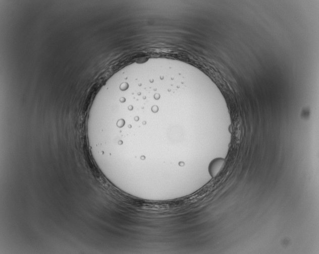 X0000116260559201001110956