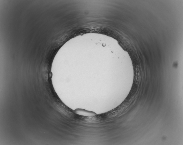 X0000116260562201001110956