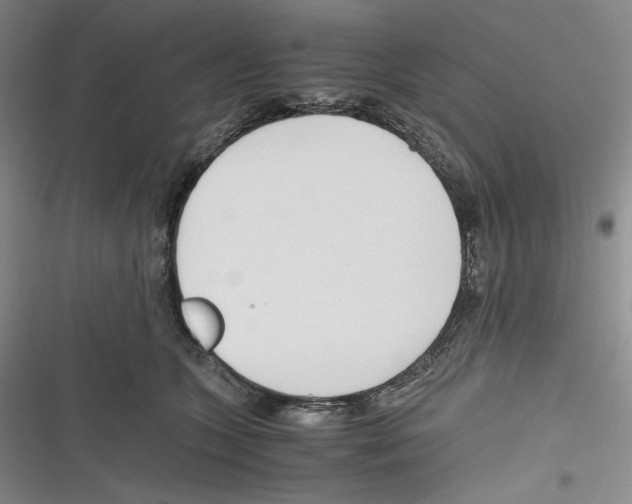 X0000116260563201001110956