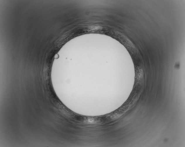 X0000116260565201001110956