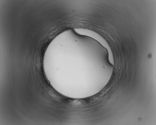 X0000116260566201001110956