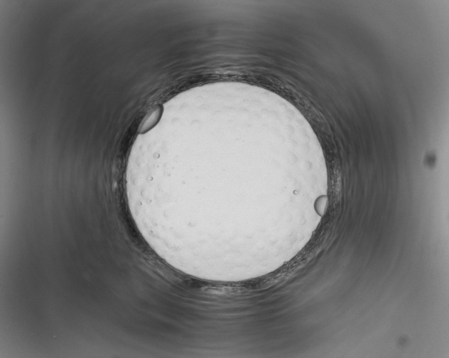 X0000116260567201001110956