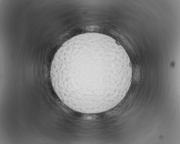 X0000116260569201001110956