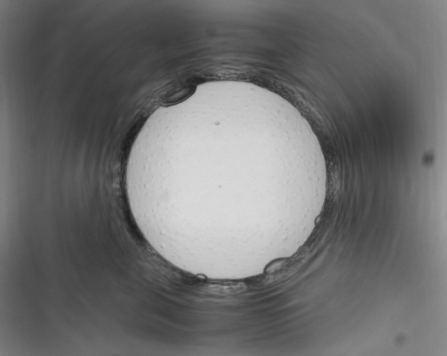 X0000116260571201001110956