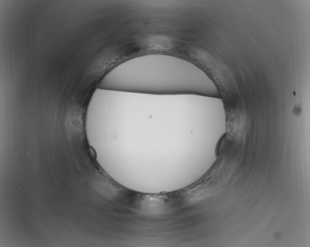 X0000116260573201001110956