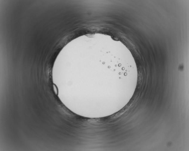 X0000116260574201001110956