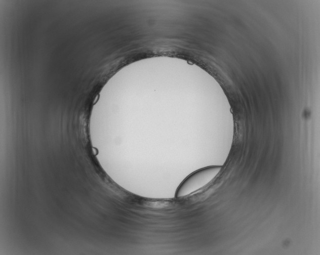 X0000116260575201001110956