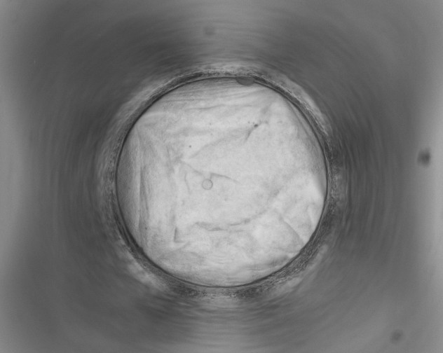 X0000116260577201001110955