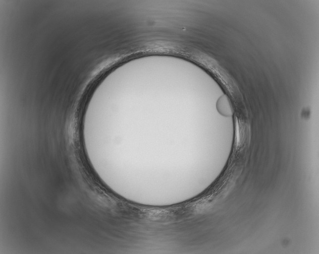 X0000116260579201001110955