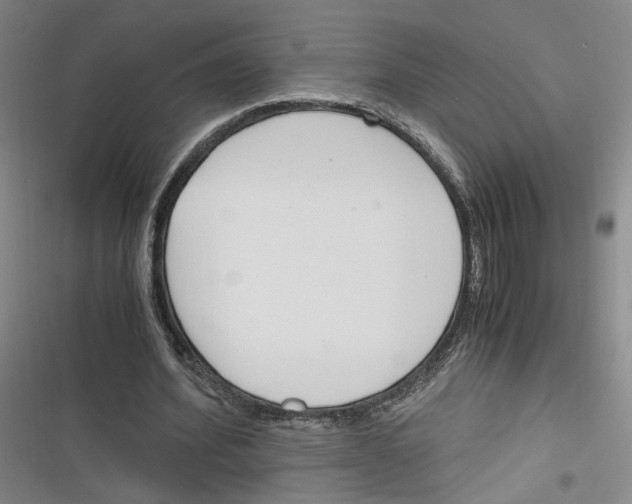 X0000116260580201001110955