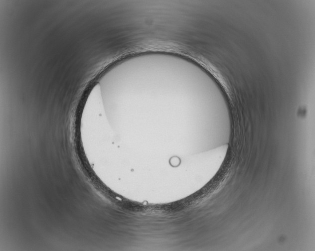 X0000116260581201001110955