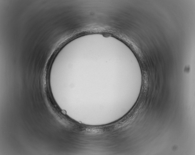 X0000116260582201001110955