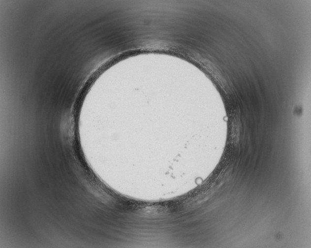 X0000116260584201001110955