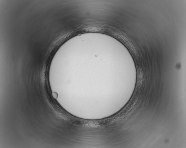 X0000116260586201001110955