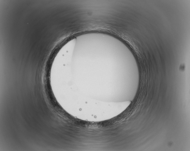 X0000116260587201001110955