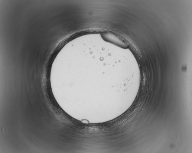 X0000116260588201001110955