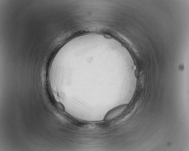 X0000116260589201001110955