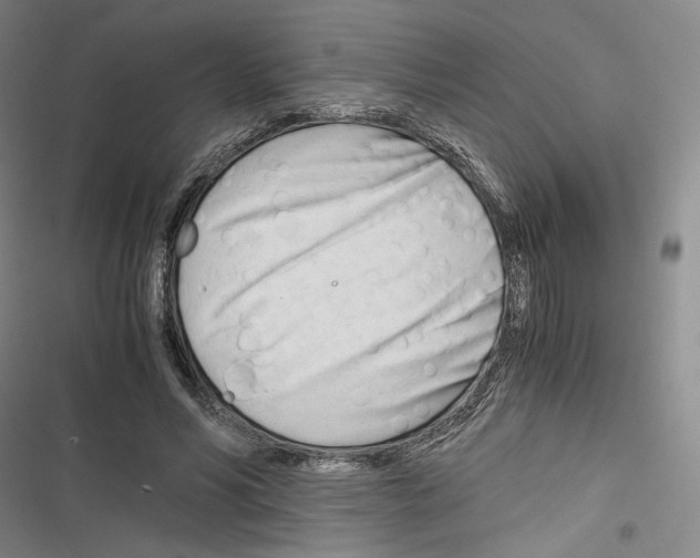 X0000116260590201001110955