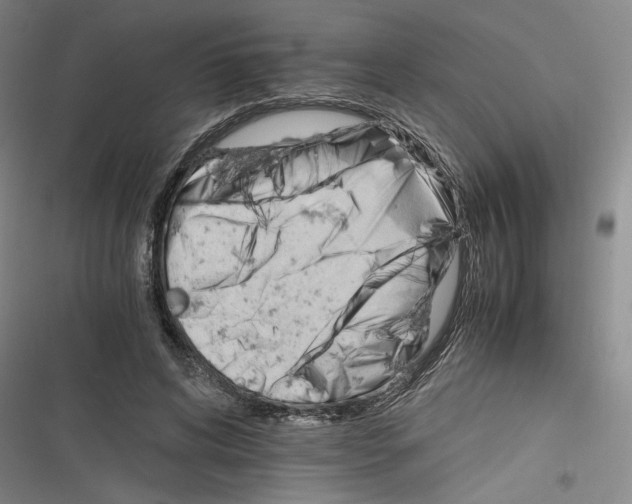 X0000116260592201001110955
