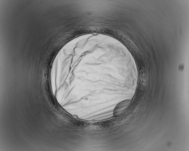 X0000116260593201001110955