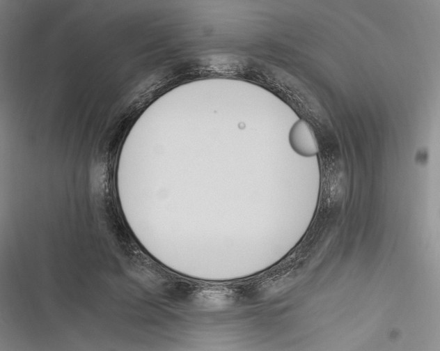 X0000116260595201001110955