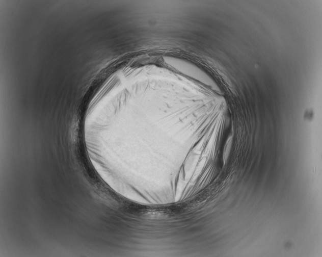 X0000116260596201001110955