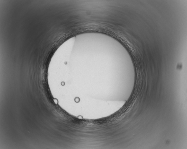 X0000116260597201001110955