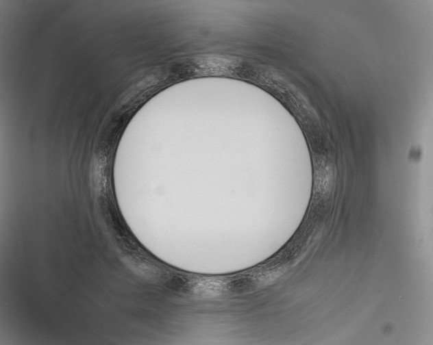 X0000116260599201001110955