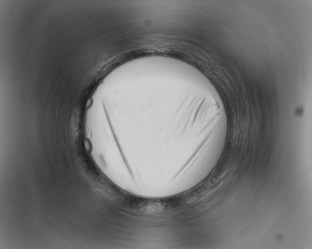 X0000116260600201001110955