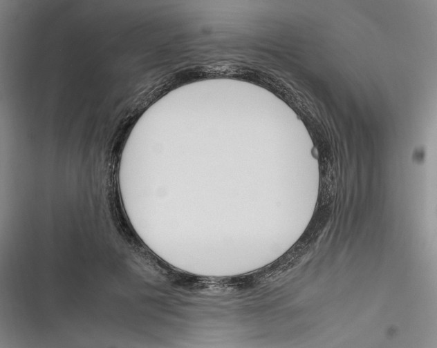 X0000116260601201001110955