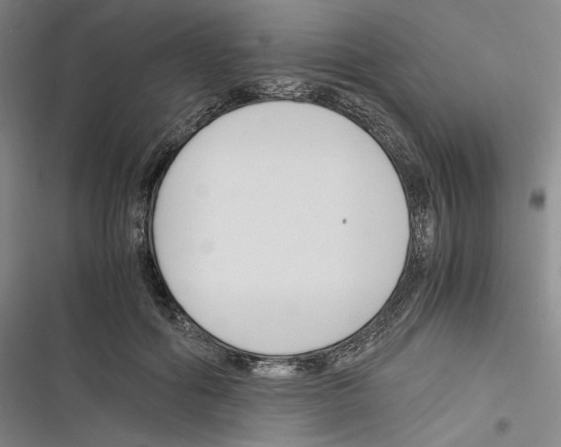 X0000116260602201001110955