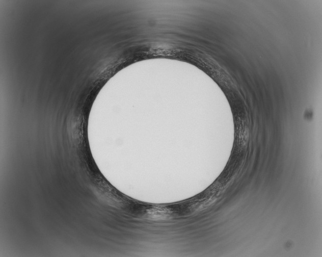 X0000116260603201001110955