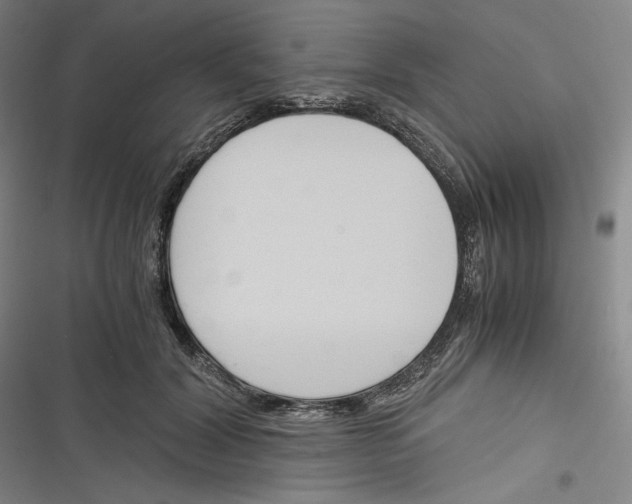 X0000116260604201001110955