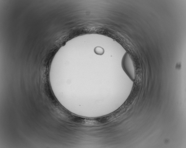 X0000116260605201001110955