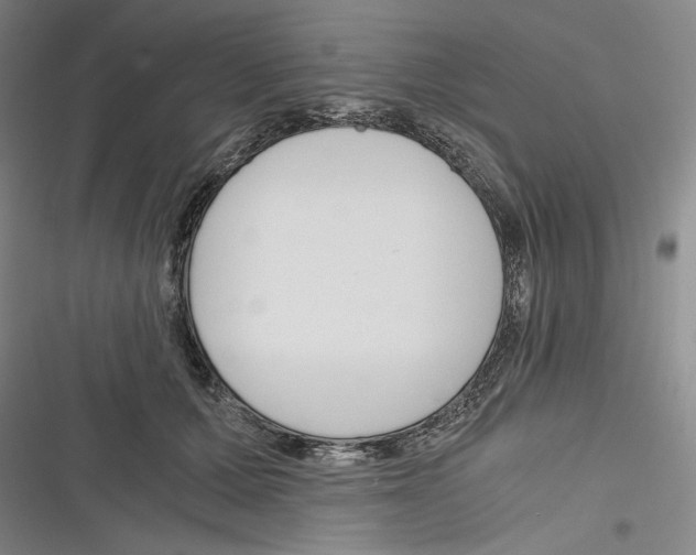X0000116260607201001110955
