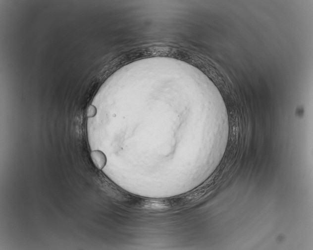 X0000116260610201001110955
