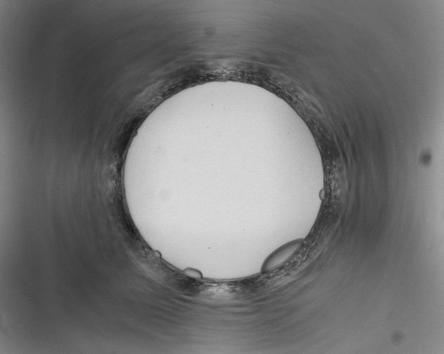 X0000116260611201001110955