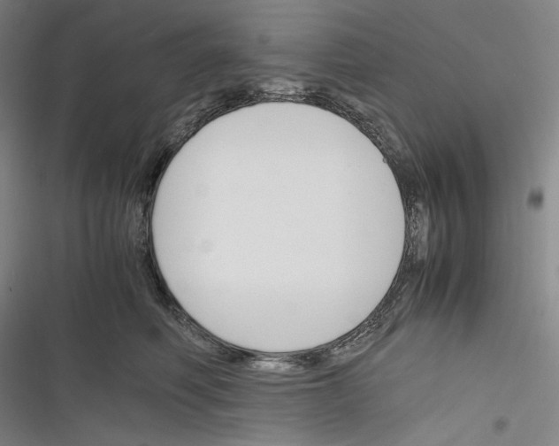 X0000116260614201001110955