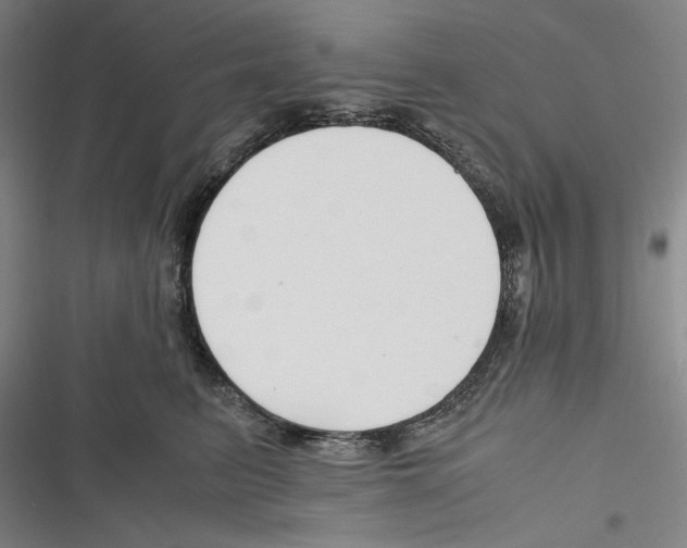 X0000116260615201001110955